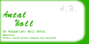 antal woll business card